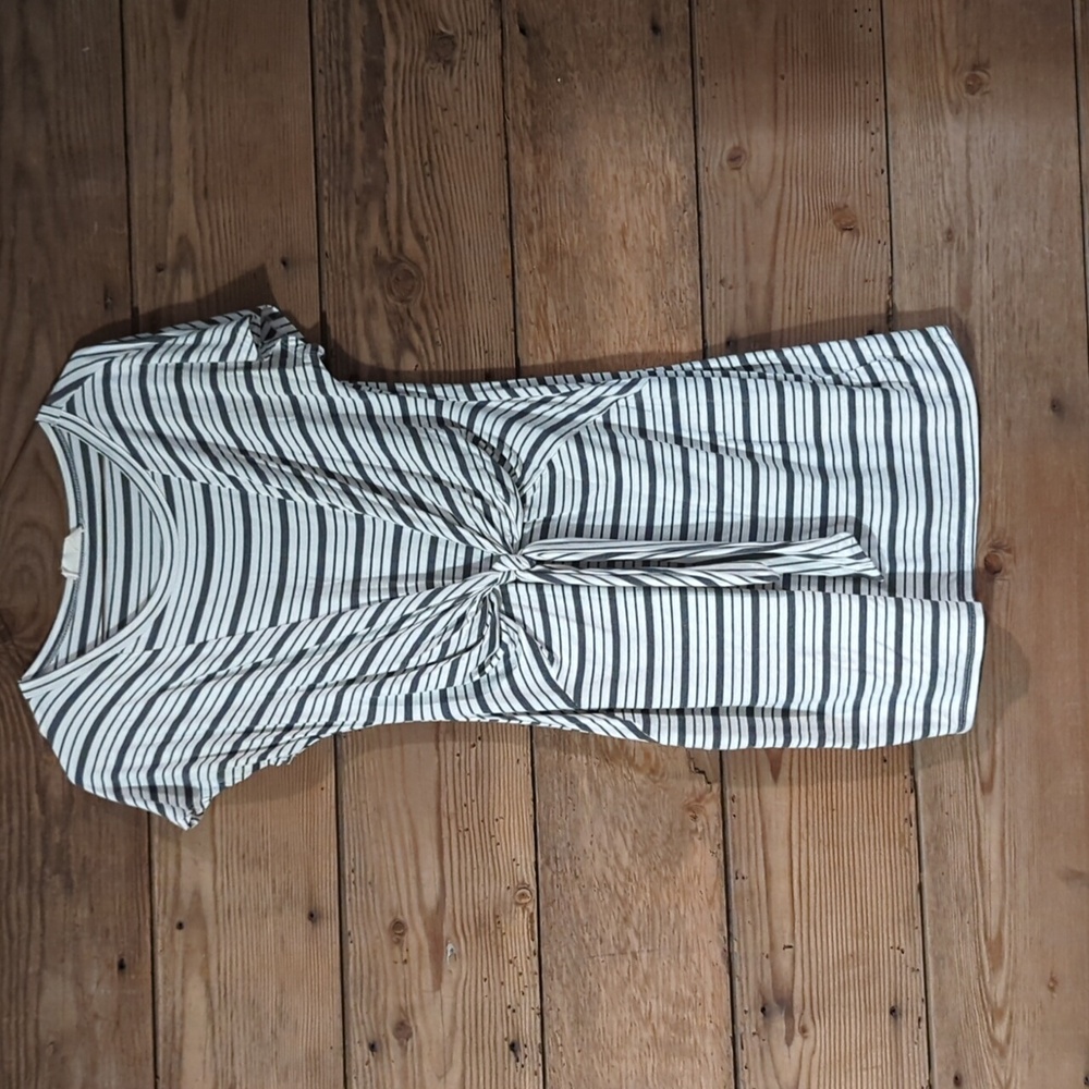 Fitted tie dress